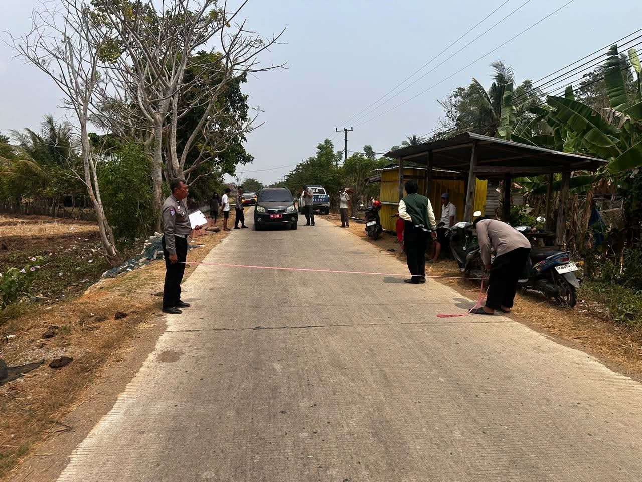 Sapi Liar di Jalan Tewaskan Pengendara Motor usai di Tabrak